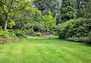 Optimiser l'expérience du jardin à Chatelraould-Saint-Louvent